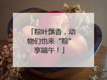 粽叶飘香，动物们也来“粽”享端午！
